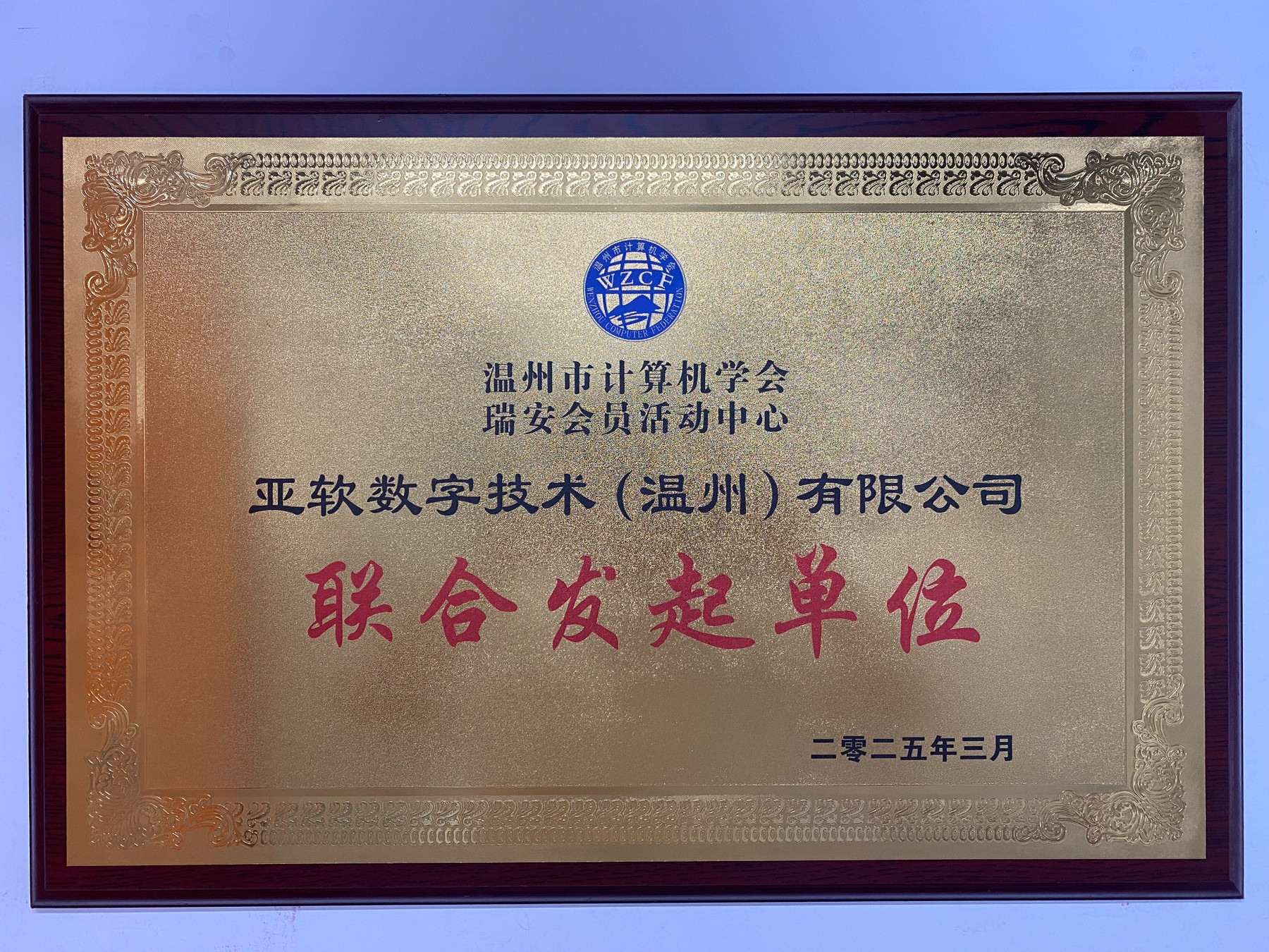 温州市计算机学会瑞安会员活动中心联合发起单位